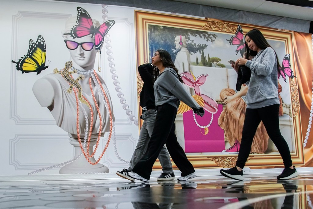 Marcas adolescentes conquistam compradores cautelosos da Black Friday, enquanto outras ofertas decepcionam – Daily News