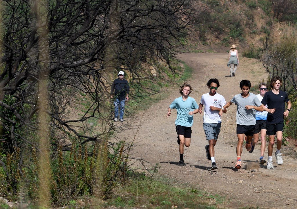 ‘We got a little of ourselves back,’ visitors declare as Will Rogers park reopens months after fire – Daily News