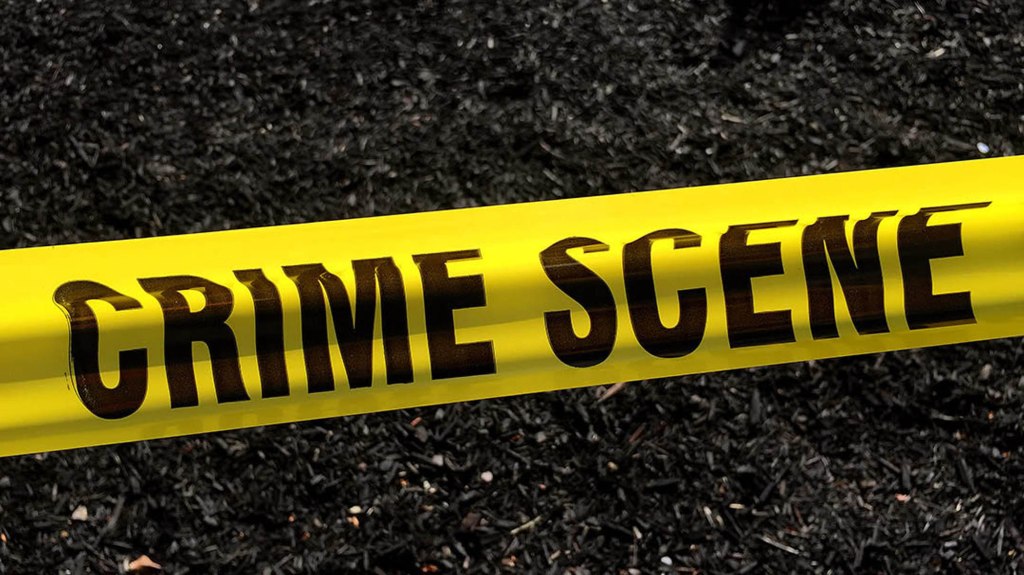 Homem morto a tiros em prédio de apartamentos em North Hollywood – Daily News